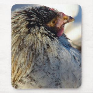 Tapis De Souris Vote Le Poulet