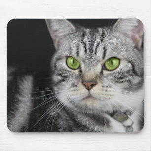 Tapis De Souris Votre photo de chat personnalisée