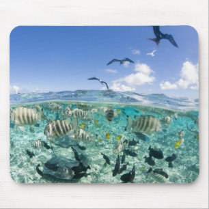 Tapis De Souris voyage safari dans la lagune avec des raies