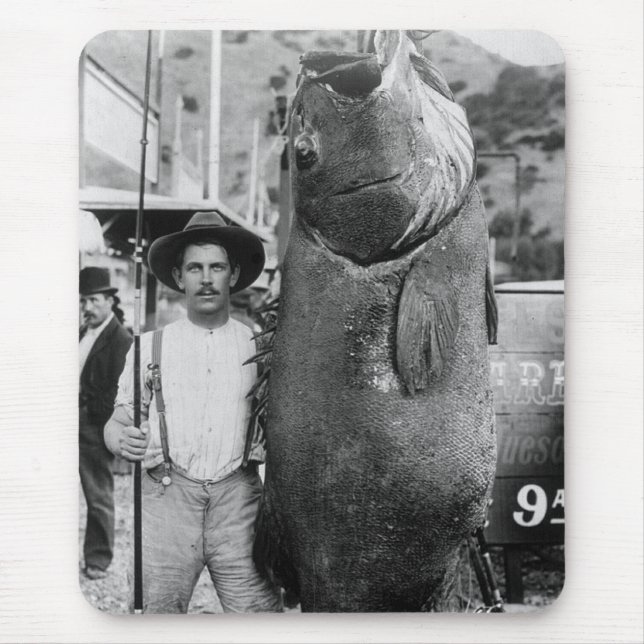Tapis De Souris Vrais grands poissons, les années 1900 tôt (Devant)