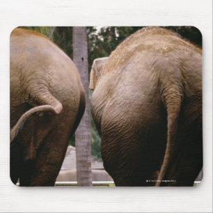 Tapis De Souris Vue arrière des éléphants asiatiques