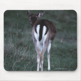 Tapis De Souris Vue arrière d'un cerf commun, Nouvelle Zélande