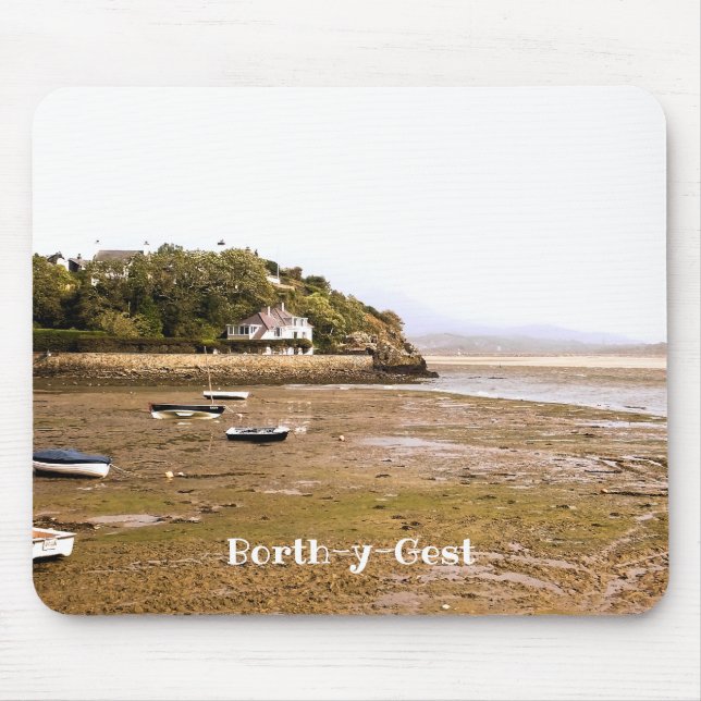 TAPIS DE SOURIS VUES DES ALLES (Devant)