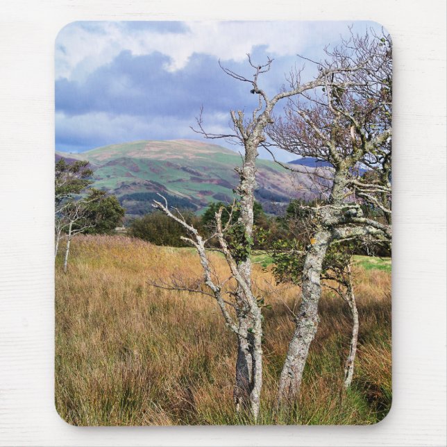 TAPIS DE SOURIS VUES DES ALLES (Devant)