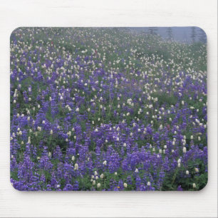 Tapis De Souris WA, parc national du mont Rainier, prairie de lupi
