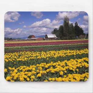 Tapis De Souris WA, Vallée de Skagit, Tulipe de la vallée de Skagi