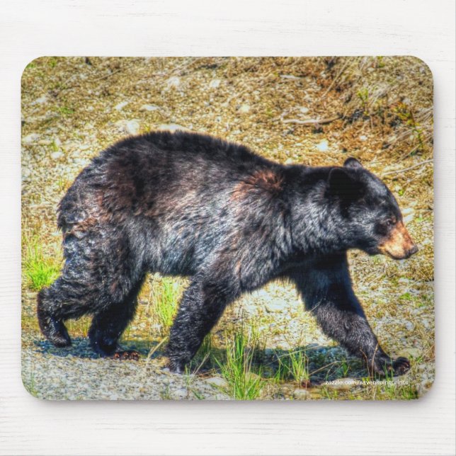 Tapis De Souris Walking Black Bear Faune Photo Art (Devant)