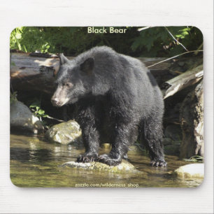 Tapis De Souris WARRIORS SAUVAGE Collection photo Ours noir