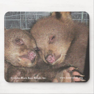 Tapis De Souris Washington jumelle Mousepad 2010