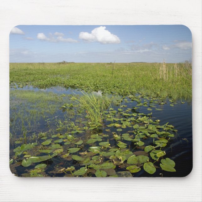 Tapis De Souris Water lilis and sawgrass en Floride everglades (Devant)
