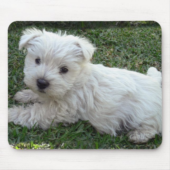 Tapis De Souris Westie (Devant)