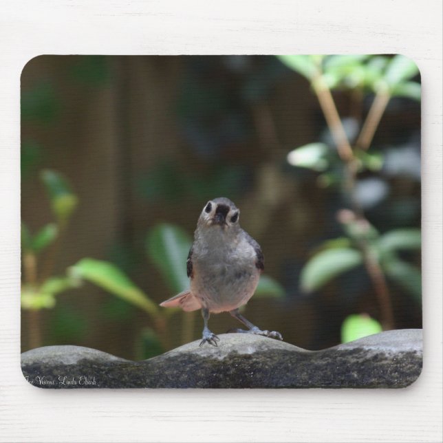 Tapis De Souris Whatcha Doin (Devant)