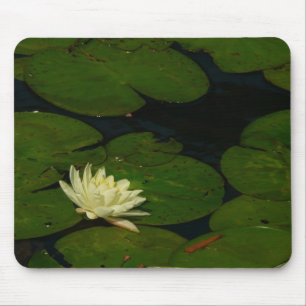 Tapis De Souris White Waterlily I Peaceful