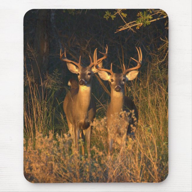 Tapis De Souris Whitetails du Texas (Devant)