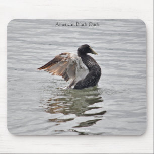 Tapis De Souris Wild Water Fowl Faune Amateur d'oiseaux Conception