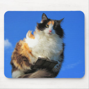 Tapis De Souris Windy ici