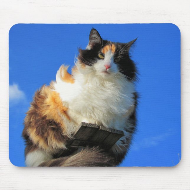 Tapis De Souris Windy ici (Devant)