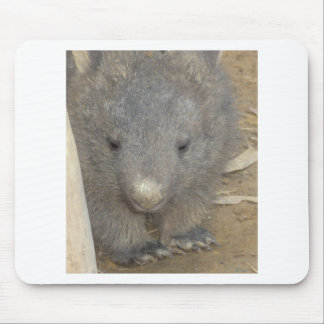Tapis De Souris Wombat