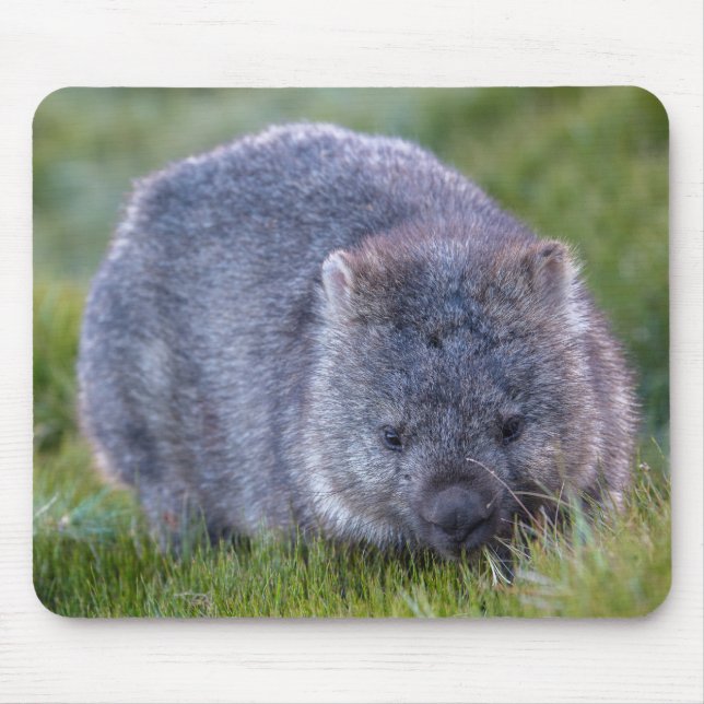 Tapis De Souris Wombat (Devant)