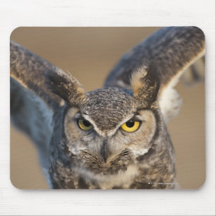 Tapis De Souris Wyoming, USA