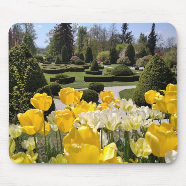 Tapis De Souris Yellow Tulips from Arboretum Volcji Potok Slovenia (Devant)