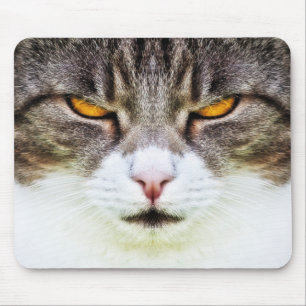 Tapis De Souris yeux de chat