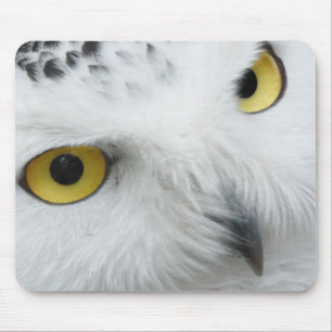 Tapis De Souris Yeux de Chouette des neiges