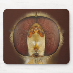 Tapis De Souris Yeux principaux et composés d'une mouche de vol
