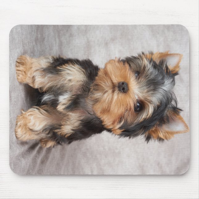 Tapis De Souris Yorkie merveilleux (Devant)