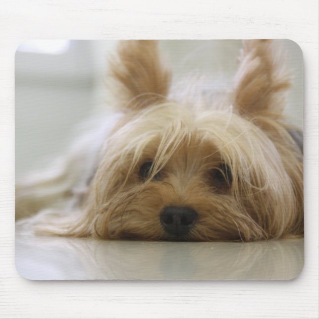 Tapis De Souris Yorkie mignon (Devant)