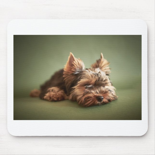 Tapis De Souris Yorkshire Terrier (Devant)
