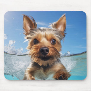 Tapis De Souris Yorkshire Terrier animal animal chien animal anima
