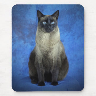 Tapis De Souris Yoshi le chaton siamois Mousepad de chat de Kitty