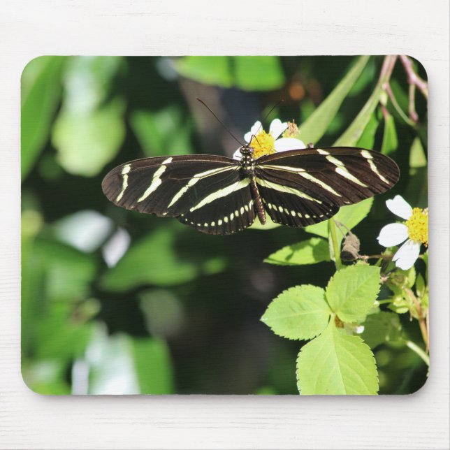 Tapis De Souris Zebra Longwing Butterfly (Devant)