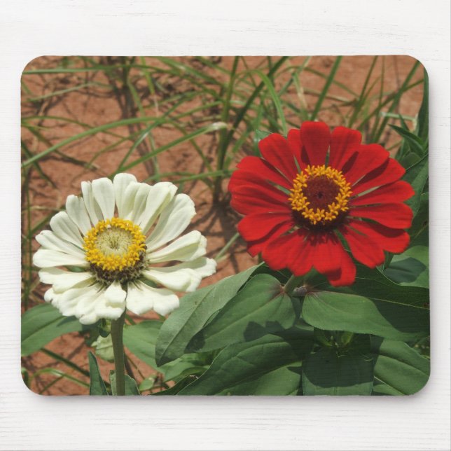 Tapis De Souris Zinnia blanche et Zinnia rouge Mousepad (Devant)