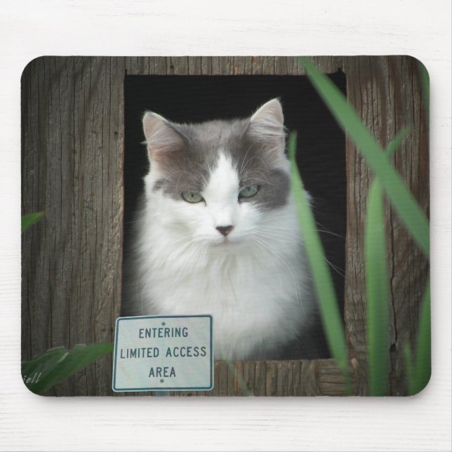 Tapis De Souris Zone d'accès limitée (Devant)