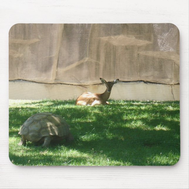 Tapis De Souris zoo photos (Devant)