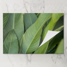 Tapis de table en papier aux feuilles tropicales v