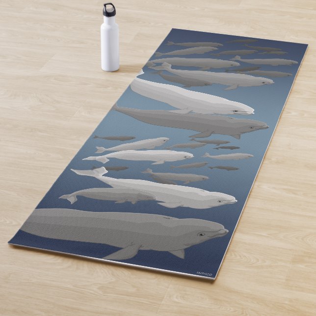 Tapis De Yoga Biélorussie Yoga Mats (En situation)