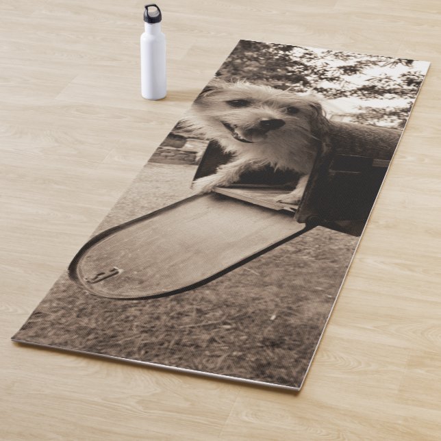 Tapis De Yoga Chien à l'intérieur d'une boîte aux lettres (En situation)