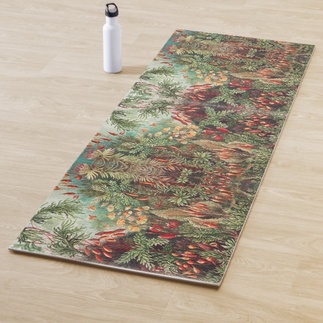 Tapis De Yoga Mosses, Muscinae Laubmoose par Ernst Haeckel (En situation)