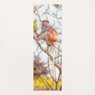 Tapis De Yoga Patas est au sommet d'un arbre