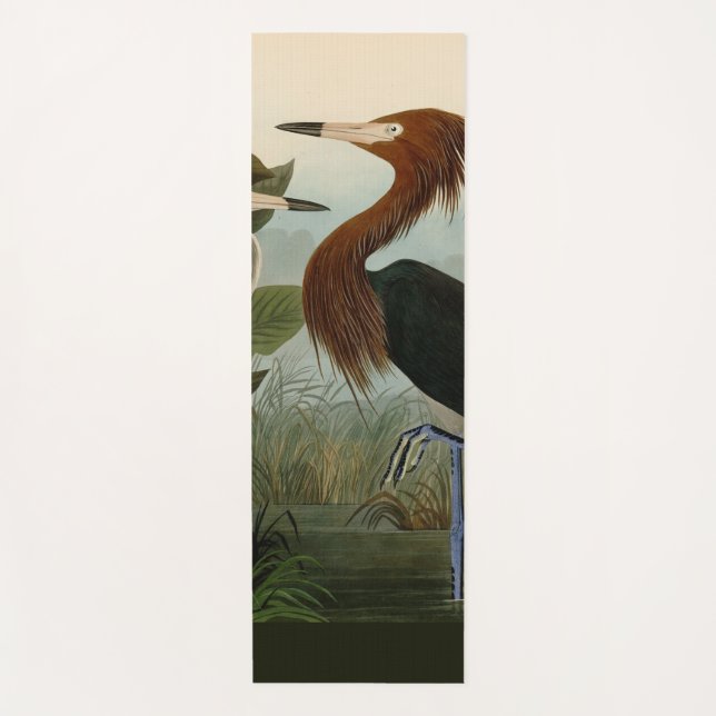 Tapis De Yoga Peinture de la faune d'Audubon Heron violet (Devant)