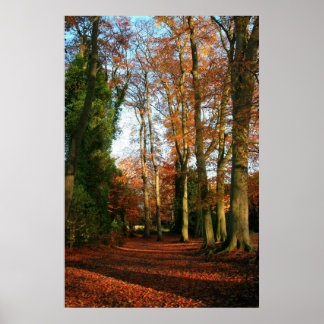 Tapis rouge toile et affiche imprimé