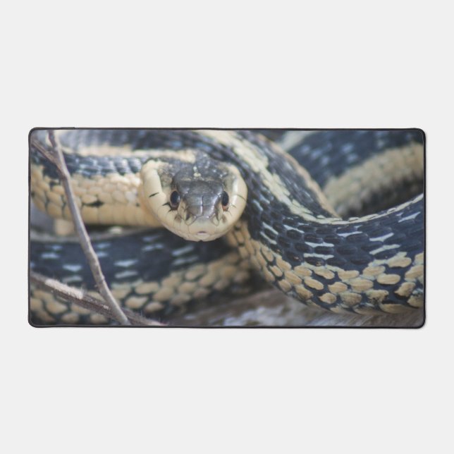 Tapis serpent  (Recto)