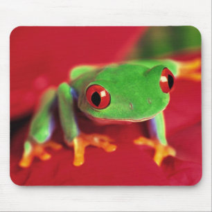 Tapis vert clair de souris de grenouille