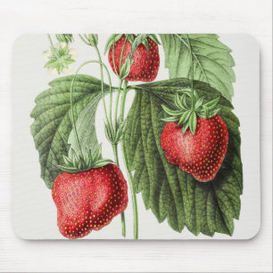 Tapis vintage de la souris à fraise