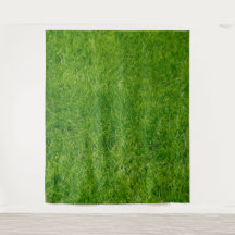 Tapisserie de fond de photo d'herbe