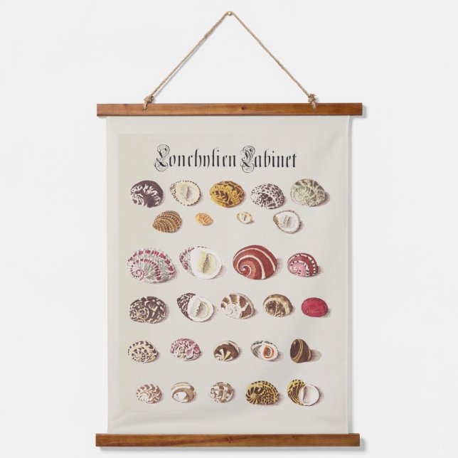 Tapisserie murale Antique Coquillages Illustration (Recto)