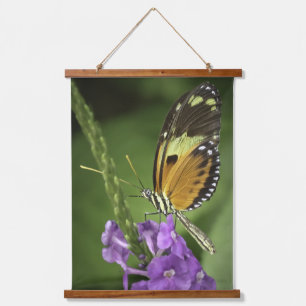 Tapisserie murale papillon Tigerwing